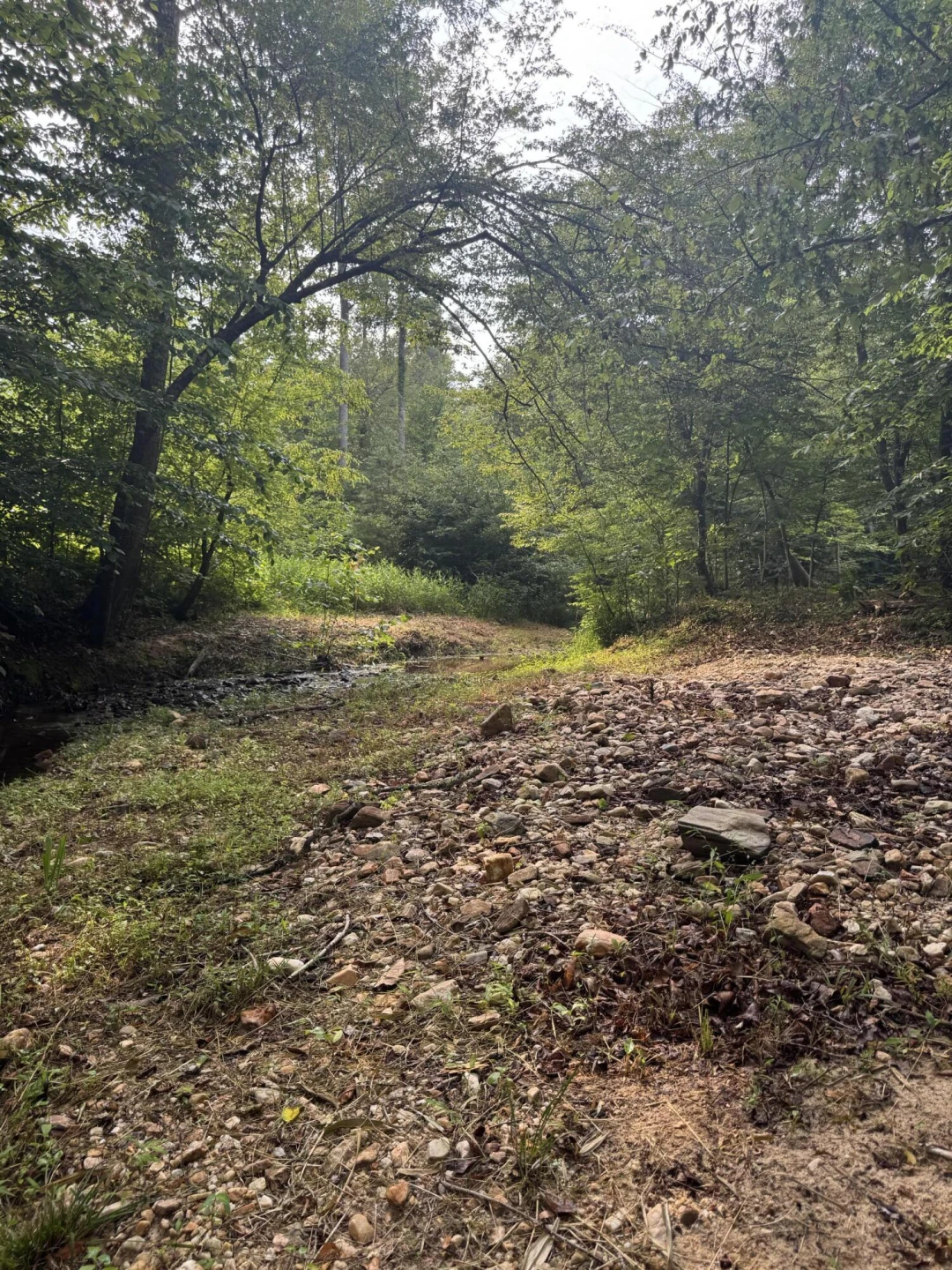 10597 SNOW CREEK RD - Photo 12