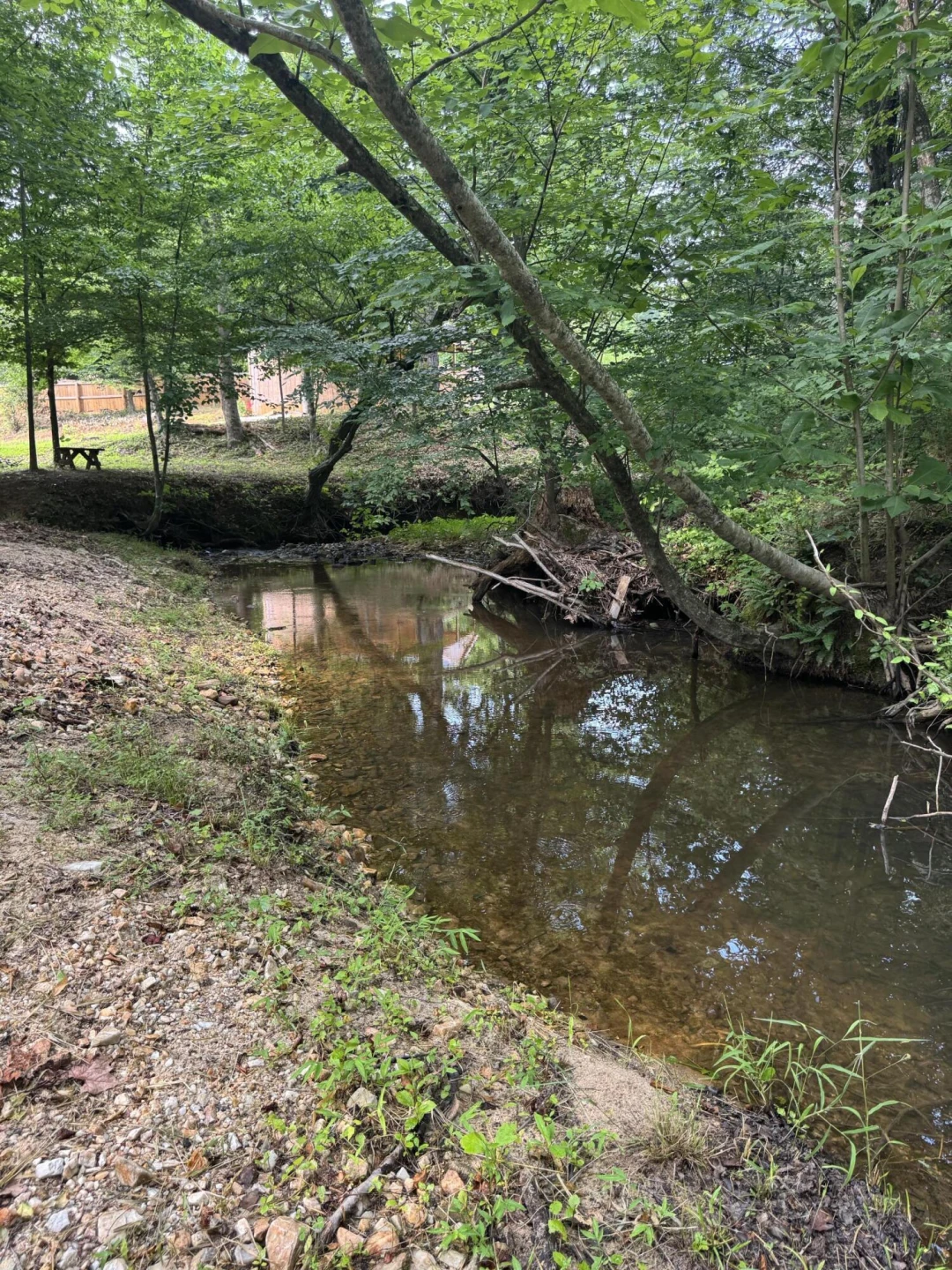 10597 SNOW CREEK RD - Photo 13