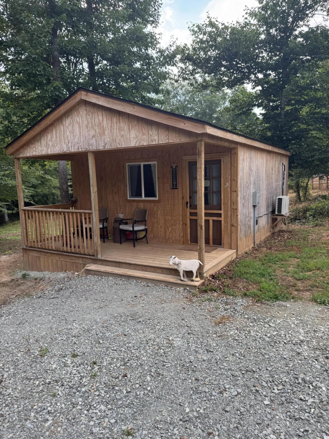 10597 SNOW CREEK RD - Photo 14