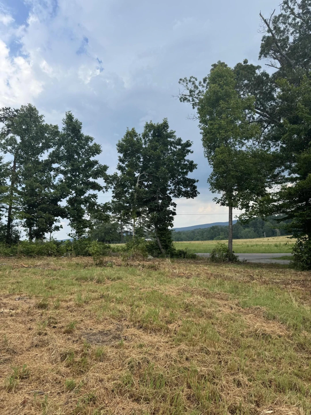 10597 SNOW CREEK RD - Photo 2