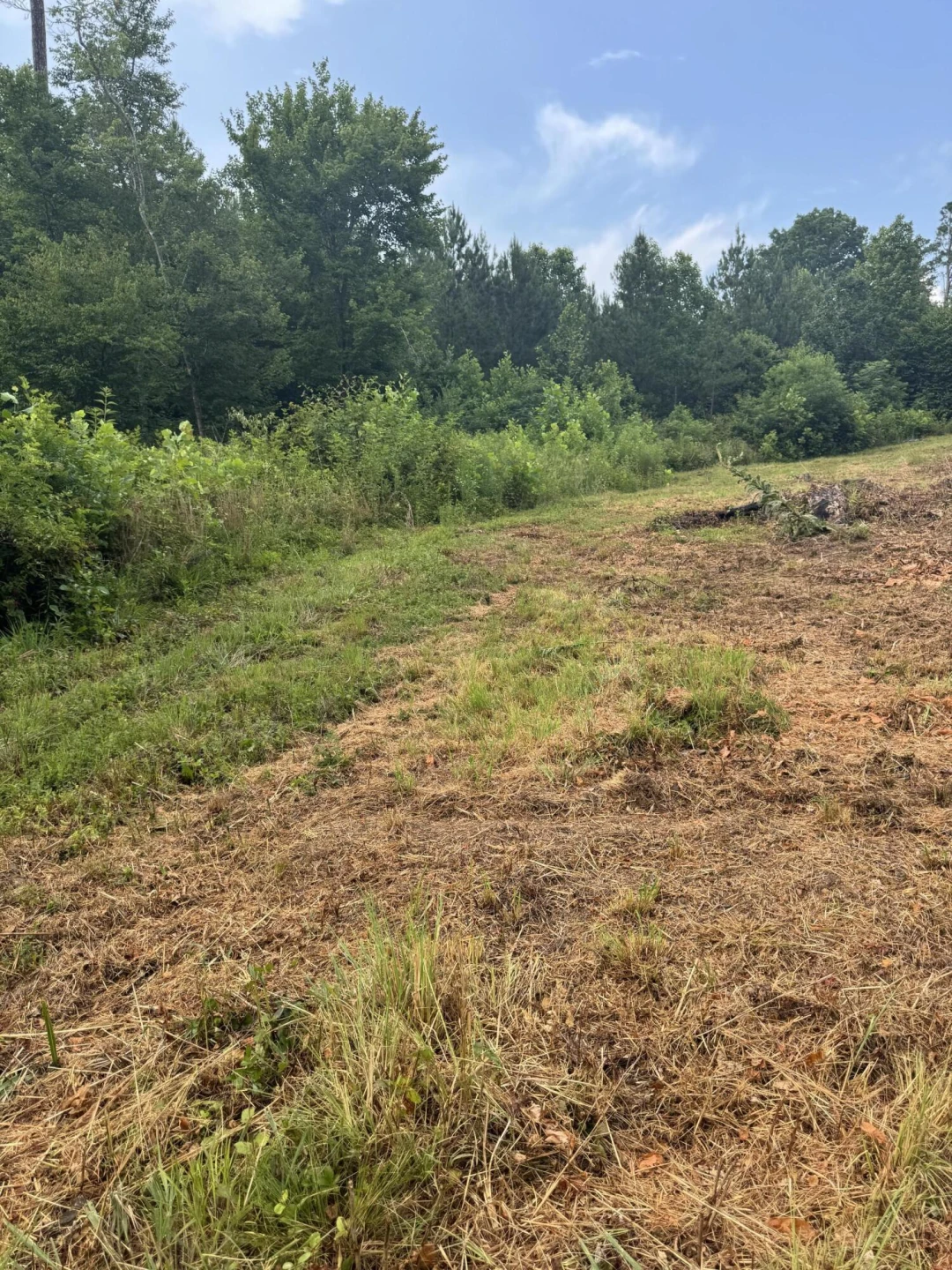 10597 SNOW CREEK RD - Photo 3