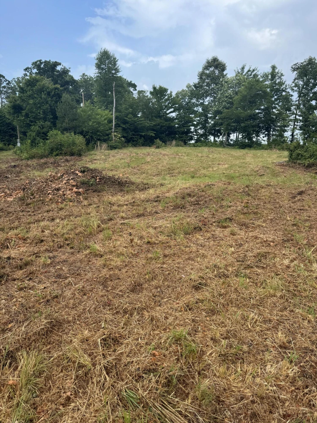 10597 SNOW CREEK RD - Photo 4
