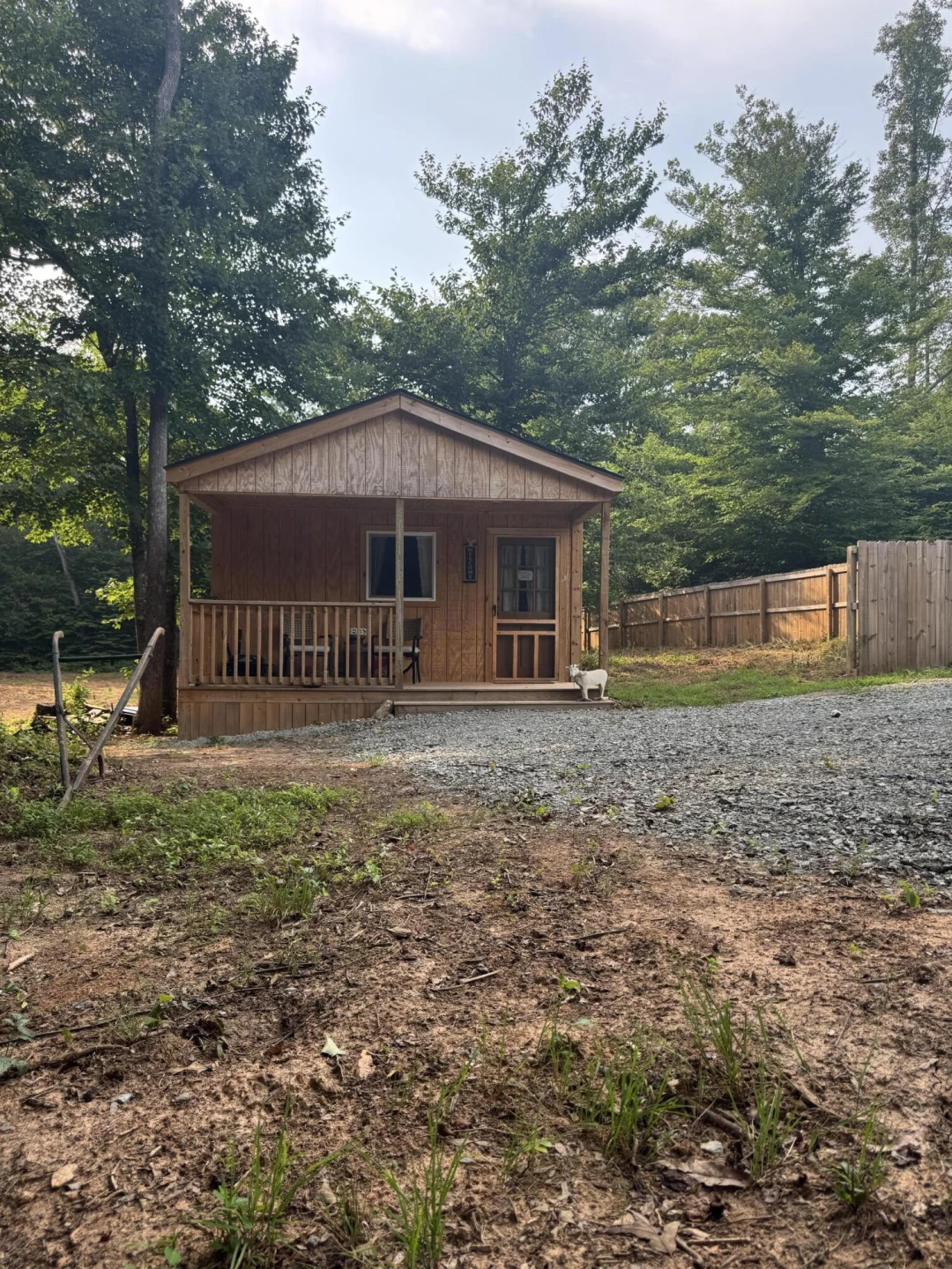 10597 SNOW CREEK RD - Photo 6