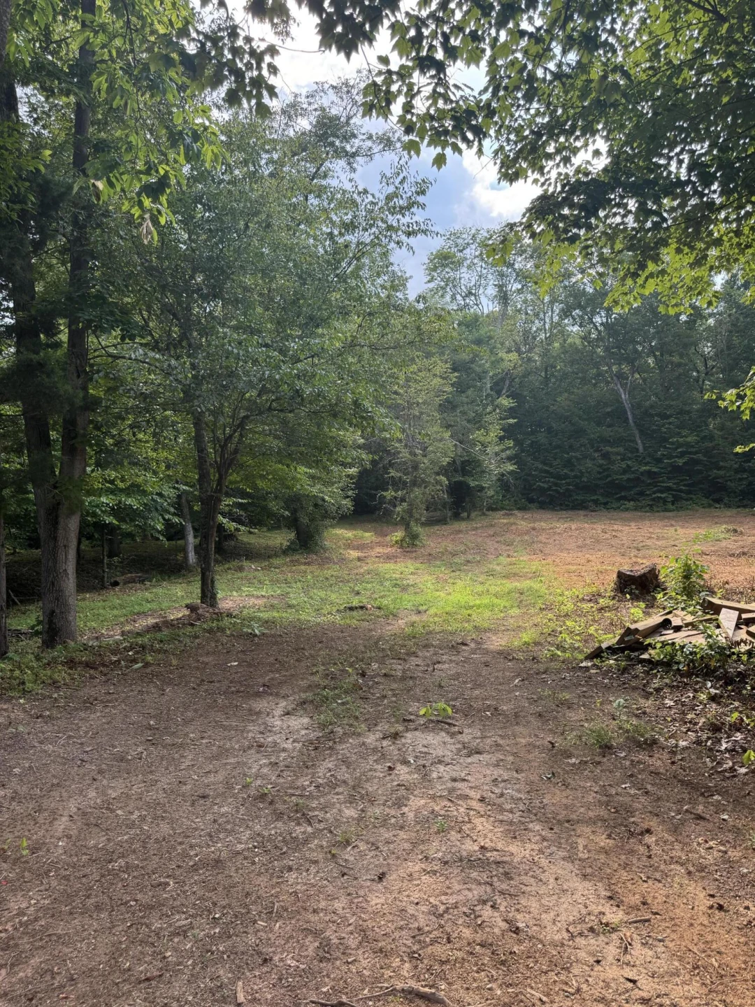 10597 SNOW CREEK RD - Photo 7