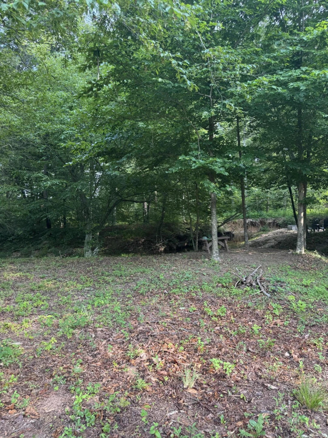 10597 SNOW CREEK RD - Photo 8