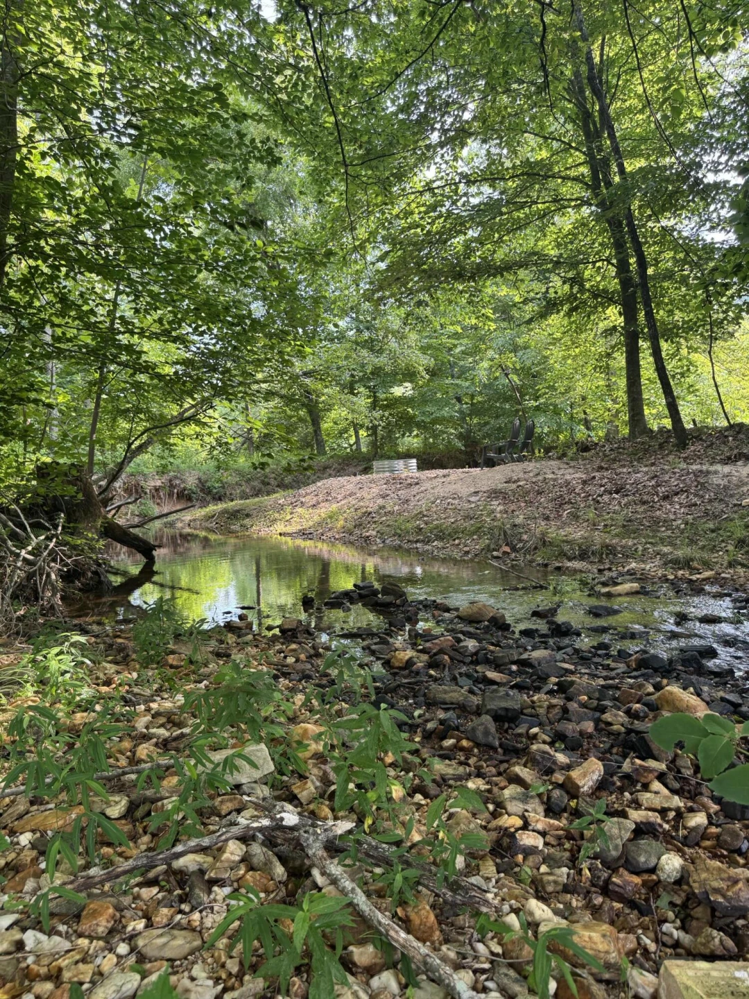10597 SNOW CREEK RD - Photo 9