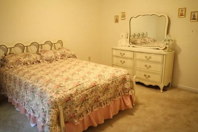218 N North Branch RD - Photo 21