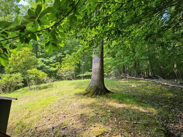 811 SLEEPY HOLLOW DR - Photo 11
