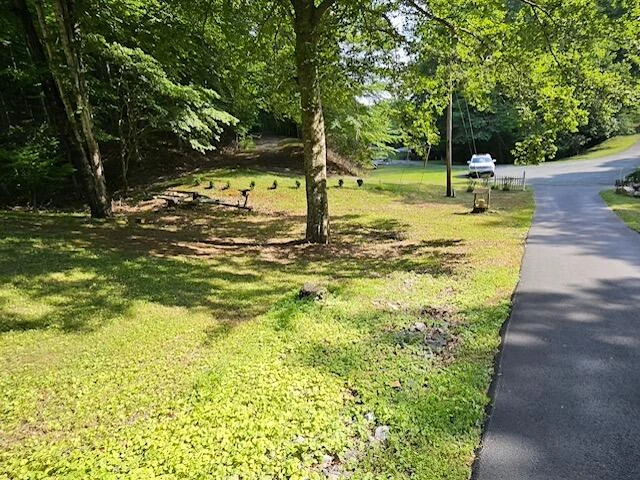811 SLEEPY HOLLOW DR - Photo 22