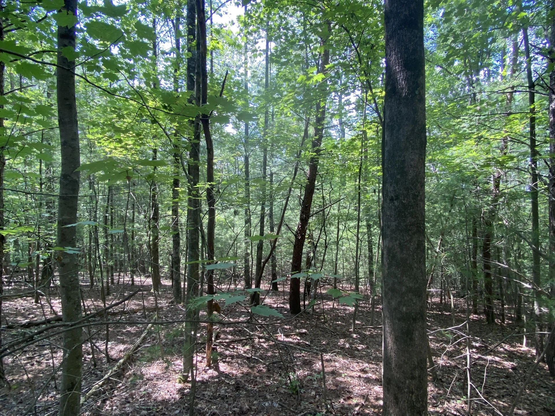 00 CASCADE CIR - Photo 2