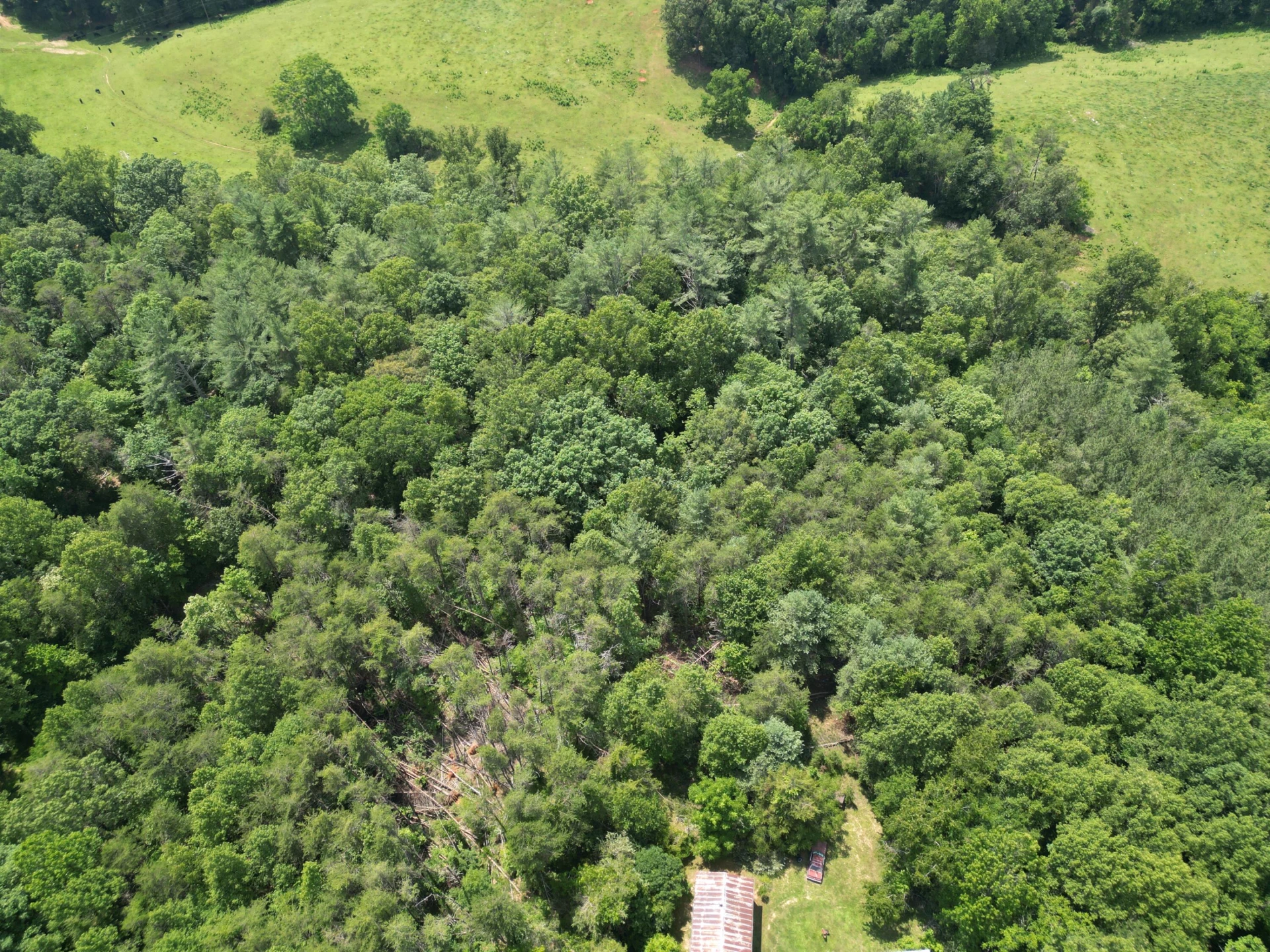 00 CASCADE CIR - Photo 3