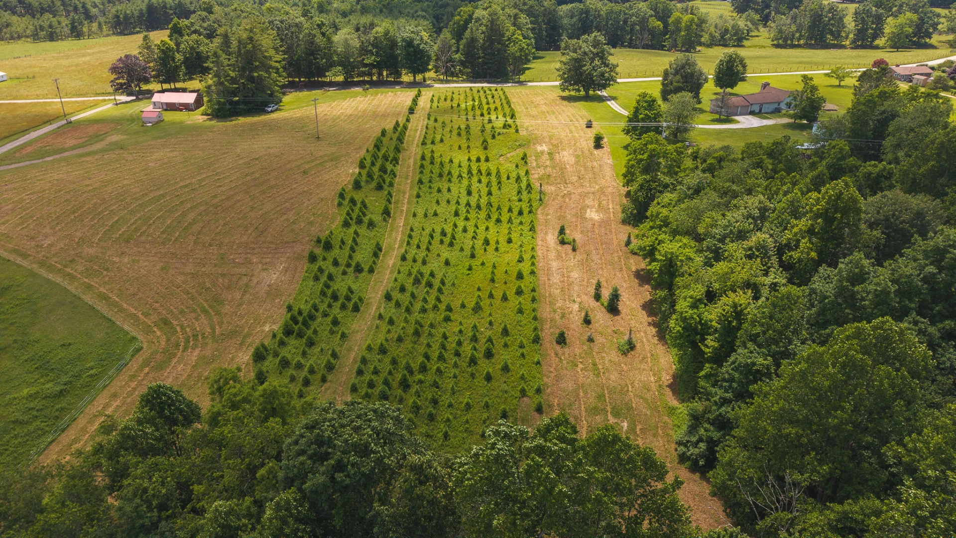 TBD Alum Ridge RD - Photo 11