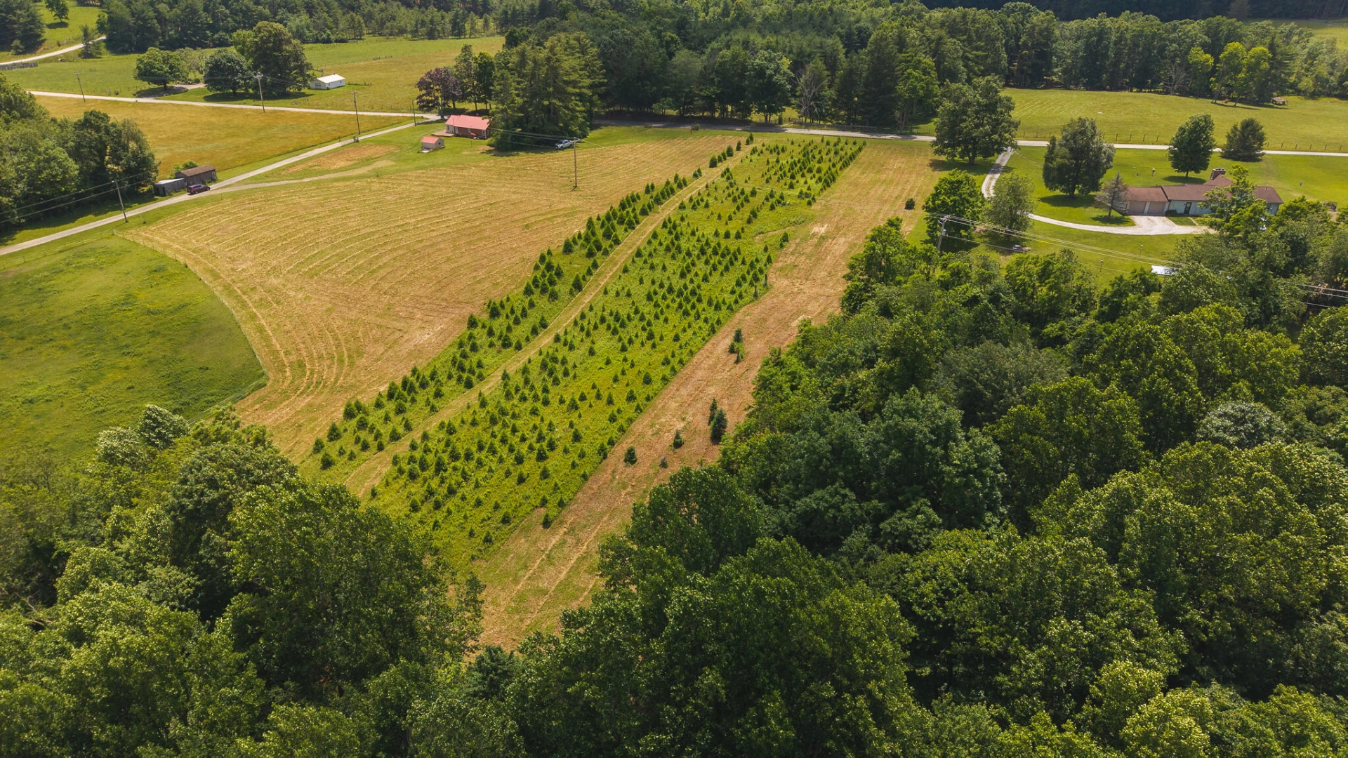 TBD Alum Ridge RD - Photo 12