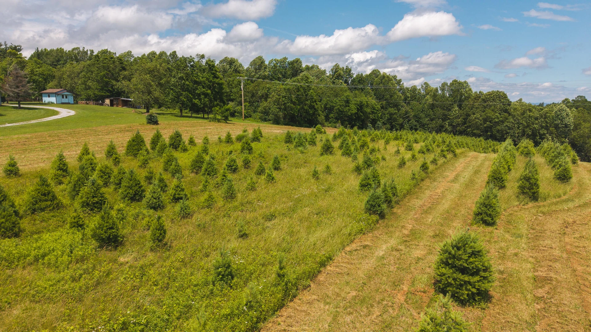 TBD Alum Ridge RD - Photo 13