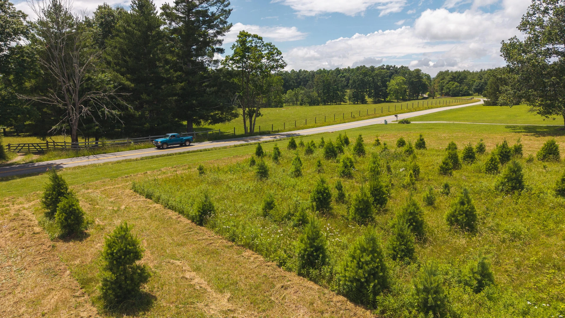 TBD Alum Ridge RD - Photo 14