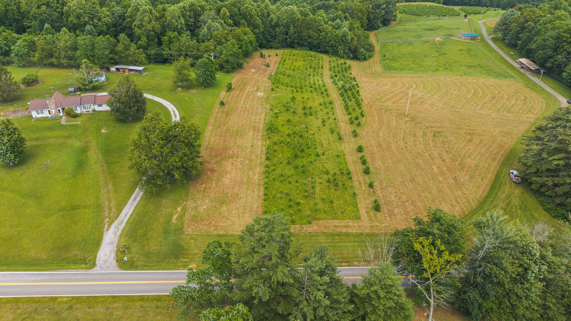 TBD Alum Ridge RD - Photo 4