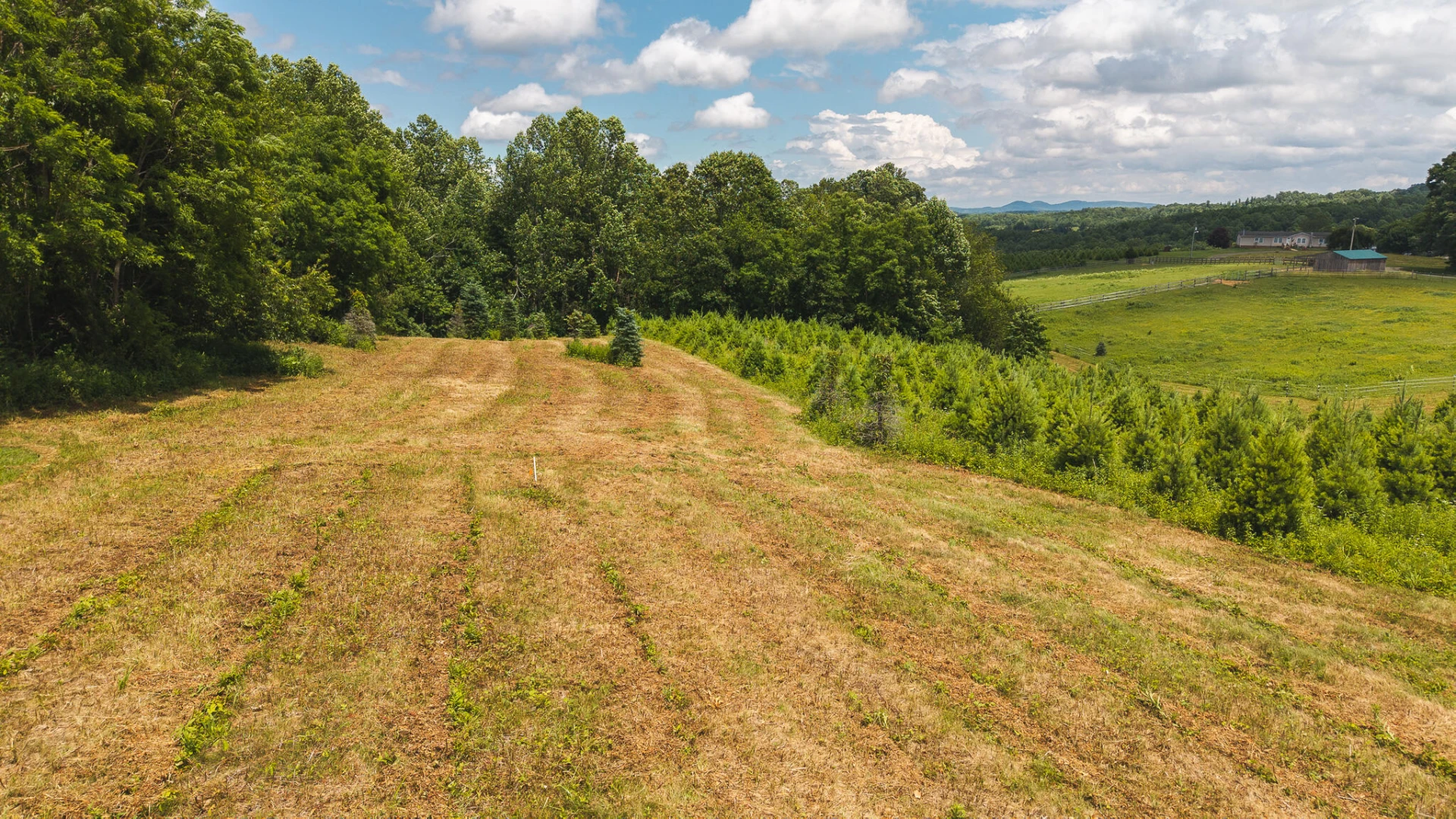 TBD Alum Ridge RD - Photo 6