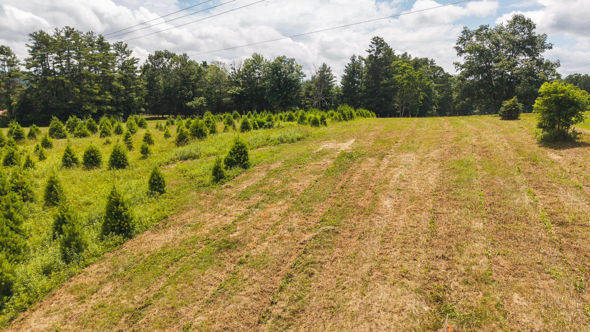 TBD Alum Ridge RD - Photo 7
