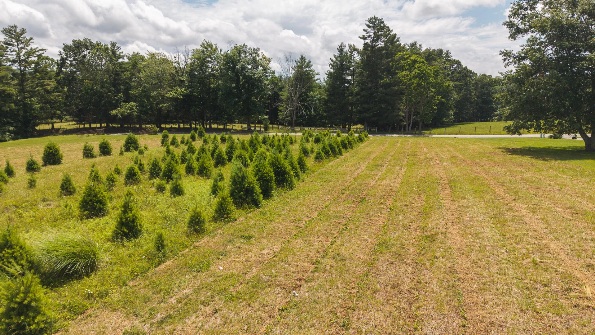 TBD Alum Ridge RD - Photo 8