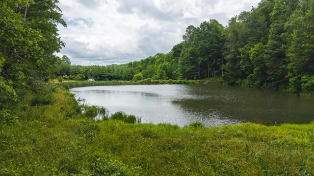 0 Ferney Creek RD NW, Willis, VA, 24380