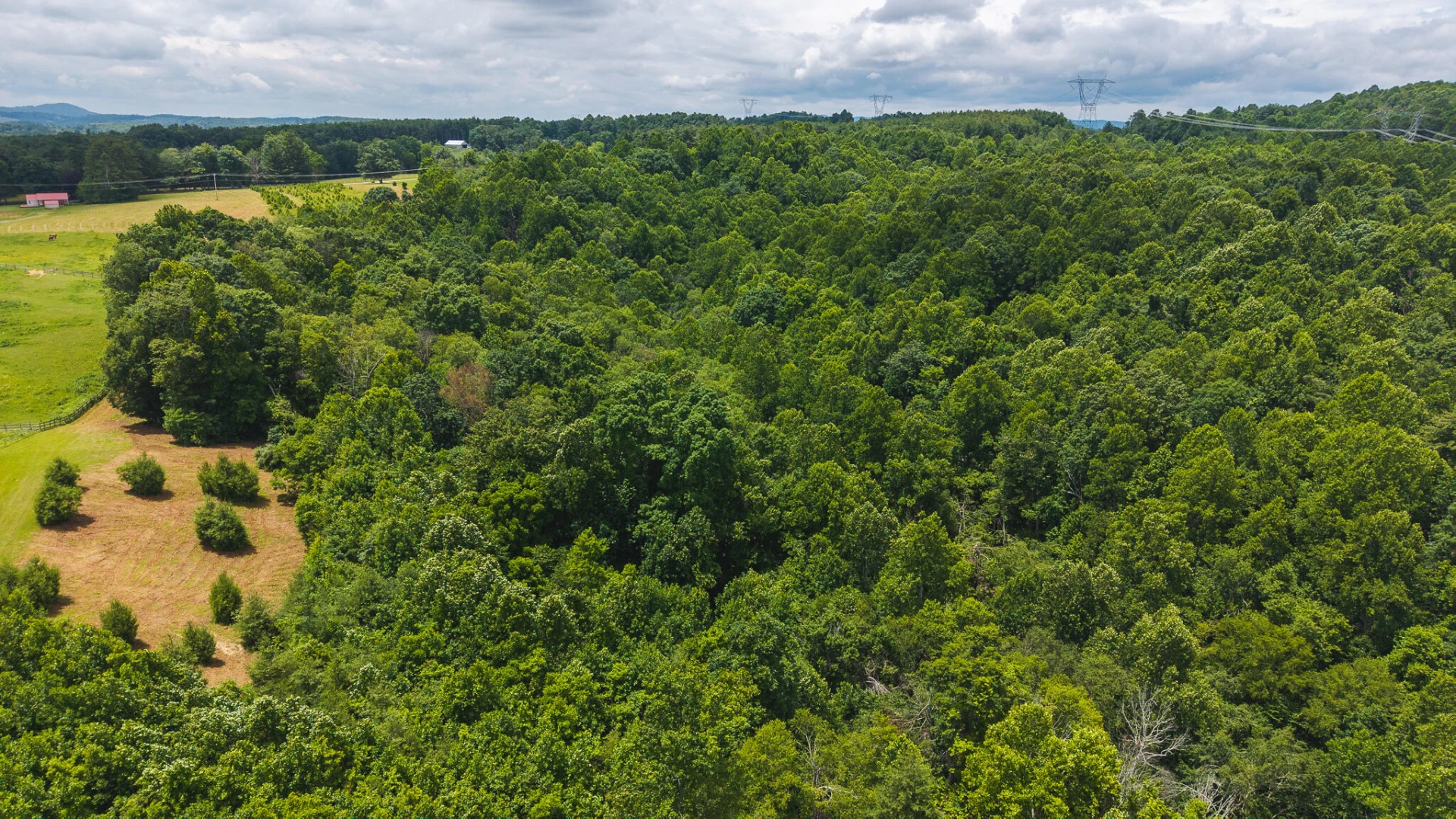 0 Ferney Creek RD NW - Photo 12