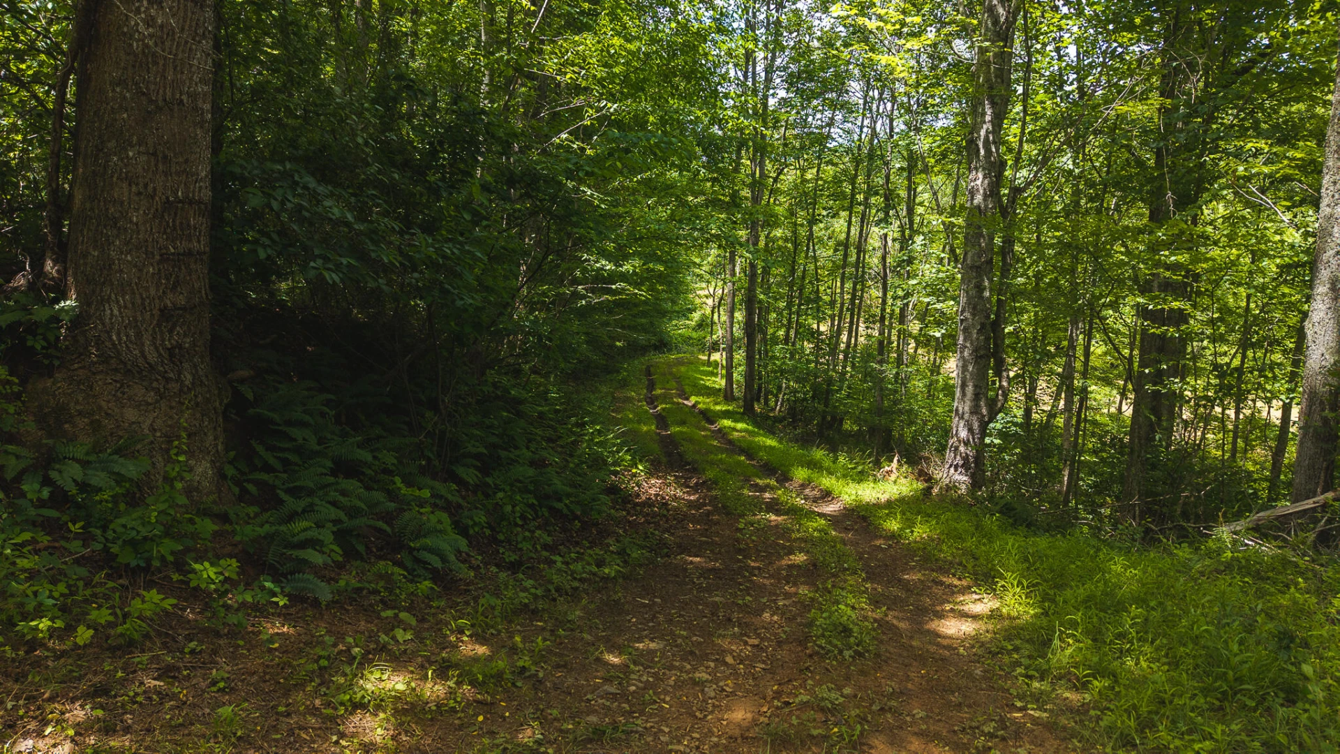 0 Ferney Creek RD NW - Photo 13