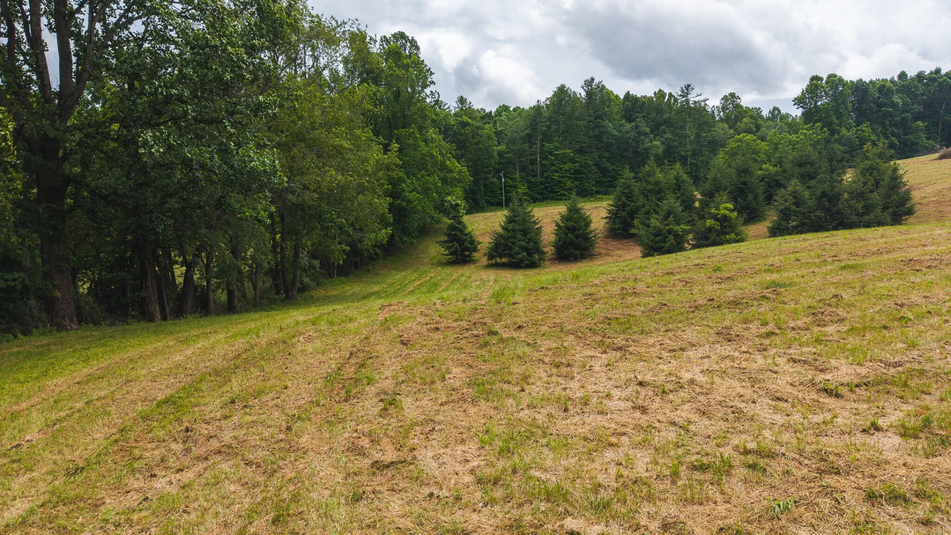 0 Ferney Creek RD NW - Photo 14