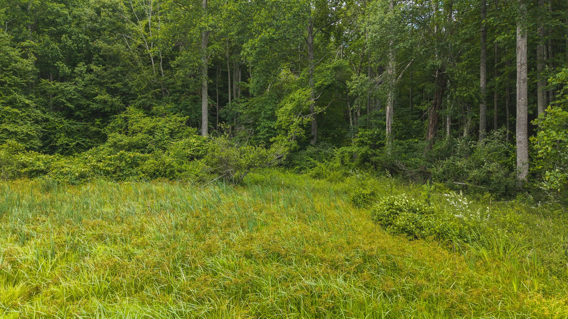 0 Ferney Creek RD NW - Photo 17