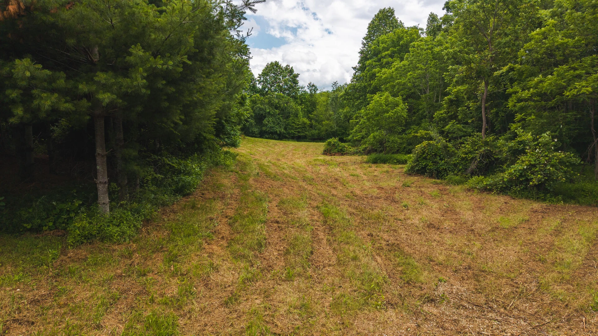 0 Ferney Creek RD NW - Photo 21