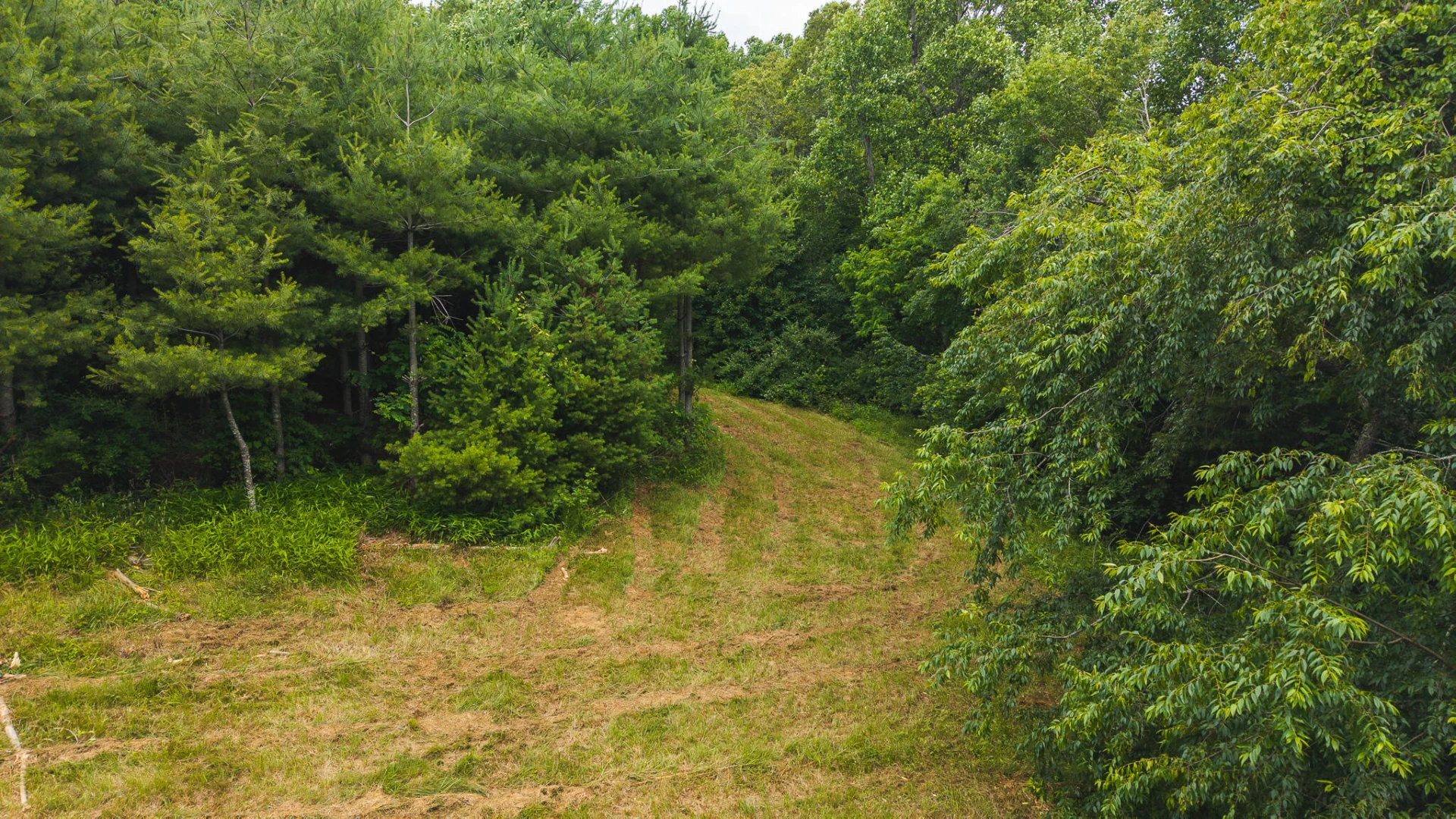 0 Ferney Creek RD NW - Photo 22