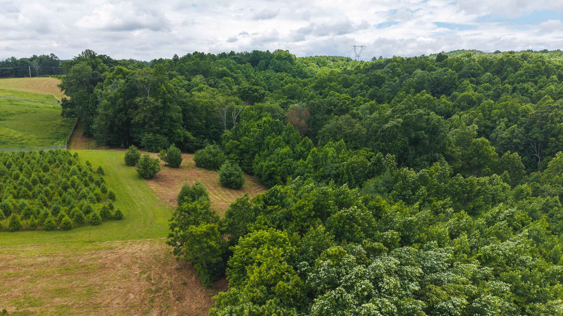 0 Ferney Creek RD NW - Photo 9