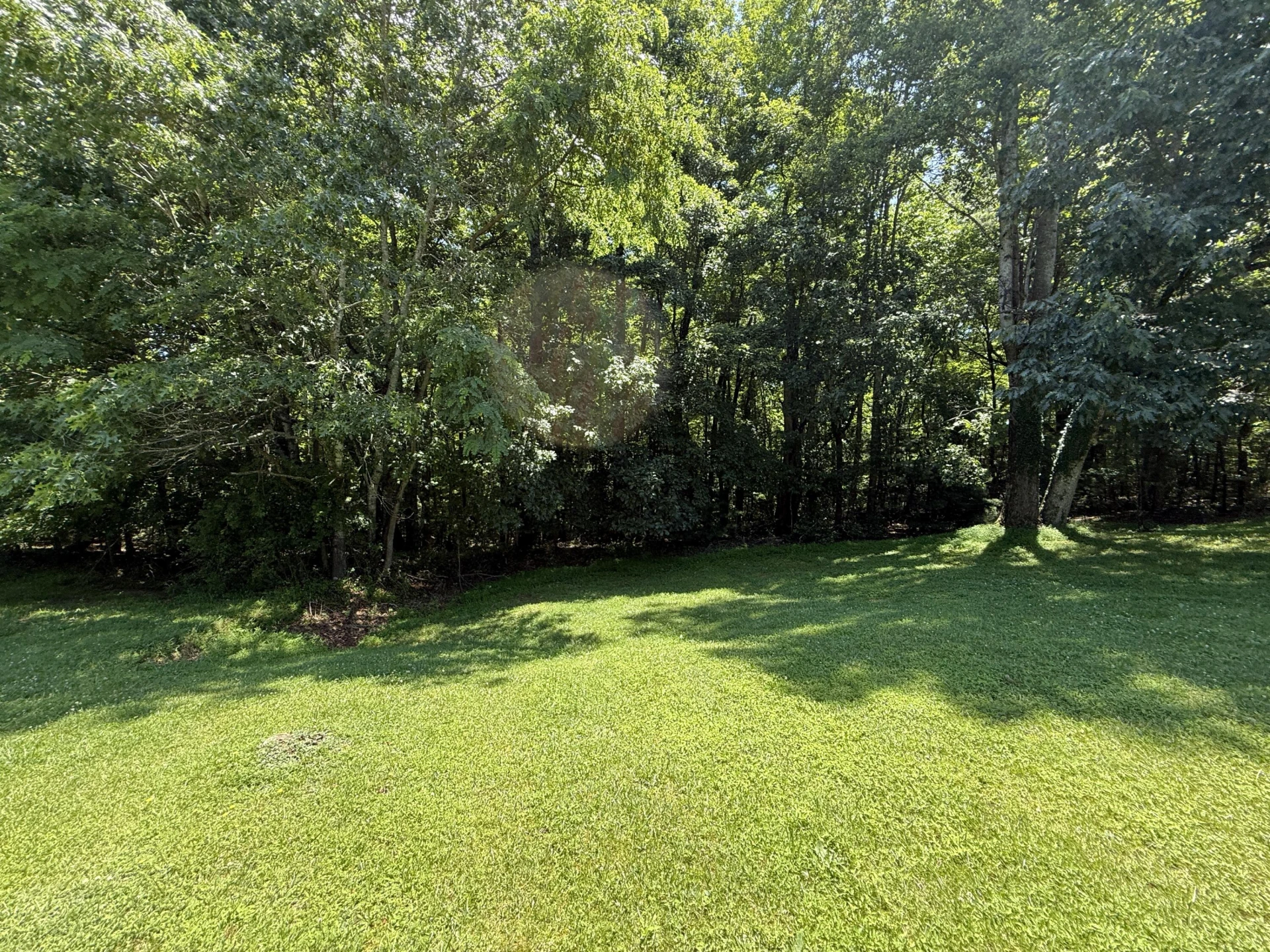 1716 Holly Tree RD - Photo 35