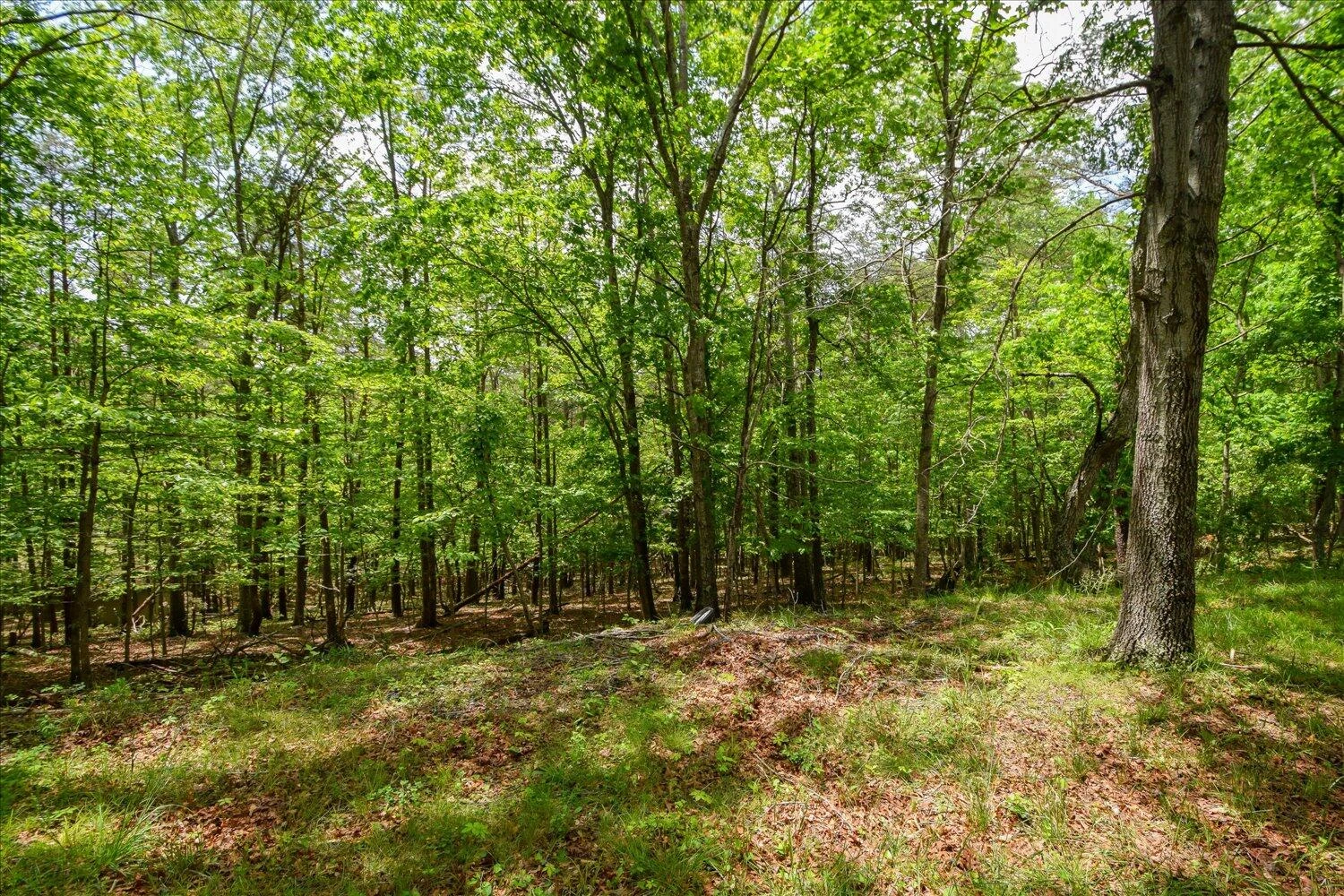 8801 Williby RD - Photo 15