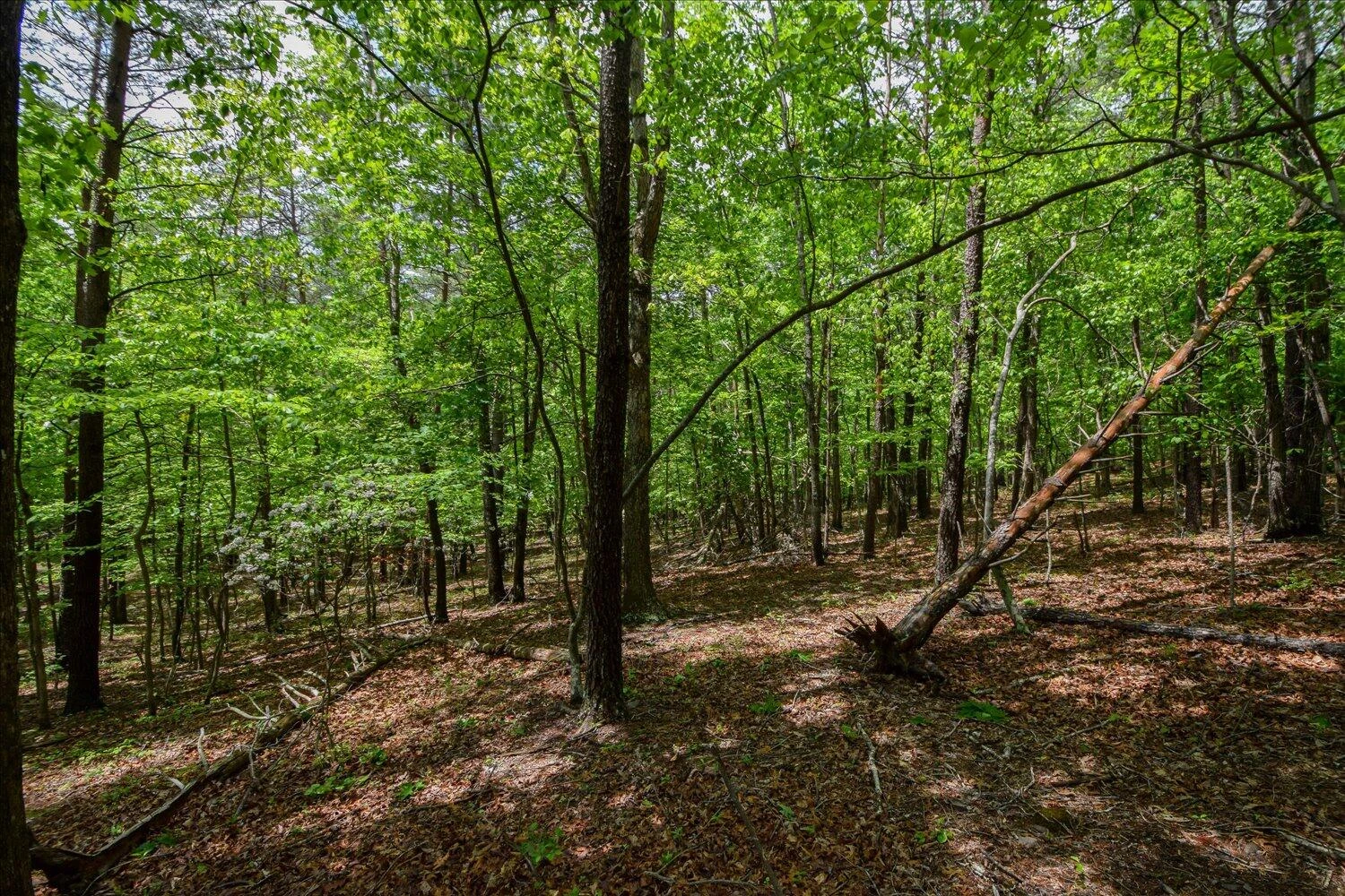 8801 Williby RD - Photo 16