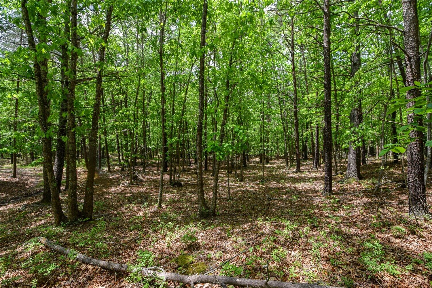 8801 Williby RD - Photo 18