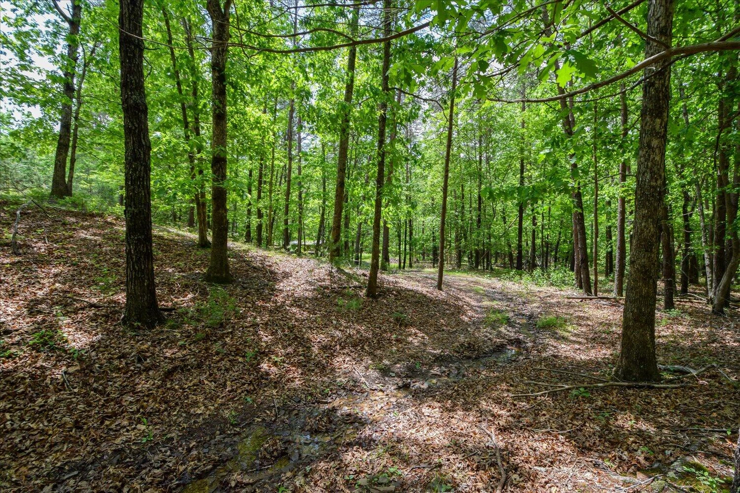 8801 Williby RD - Photo 19