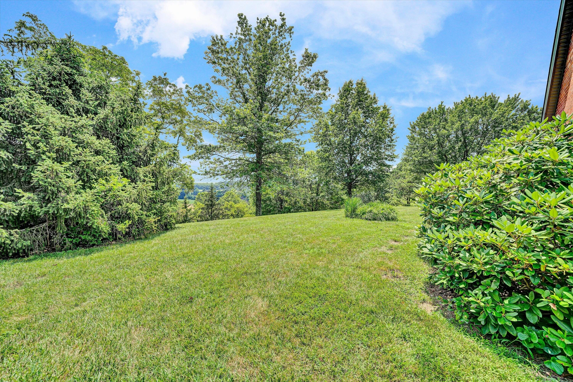 5197 Mountain Pass RD - Photo 52