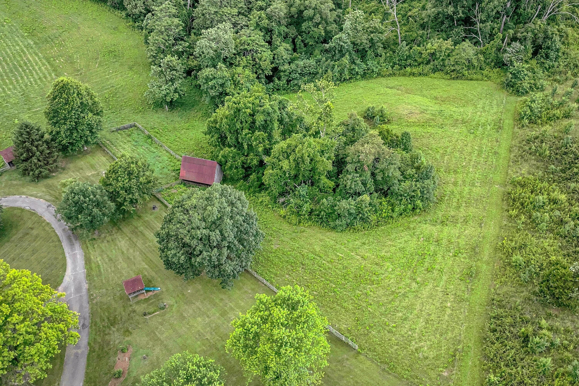 5197 Mountain Pass RD - Photo 54