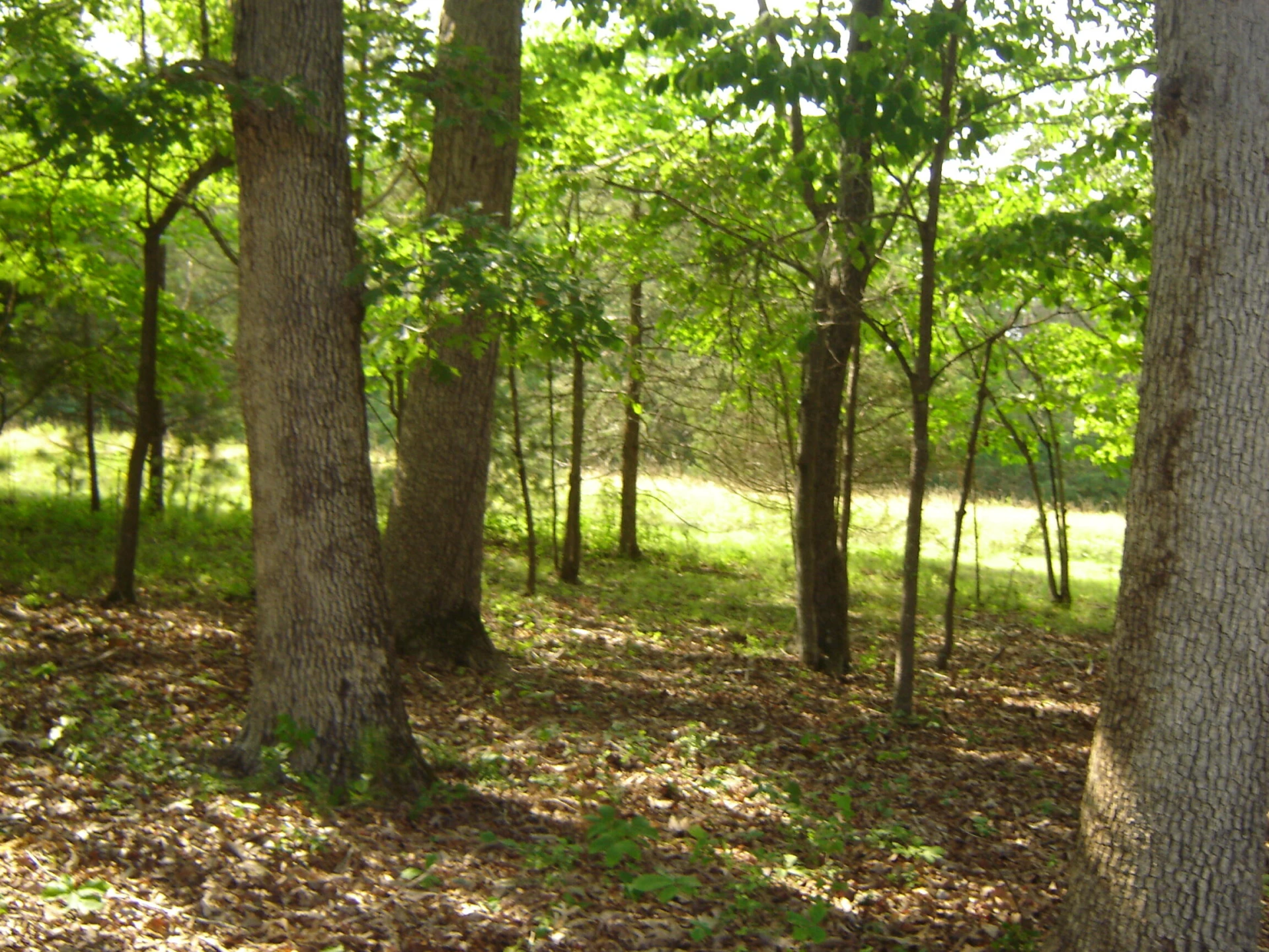 4064 Rucker RD - Photo 10