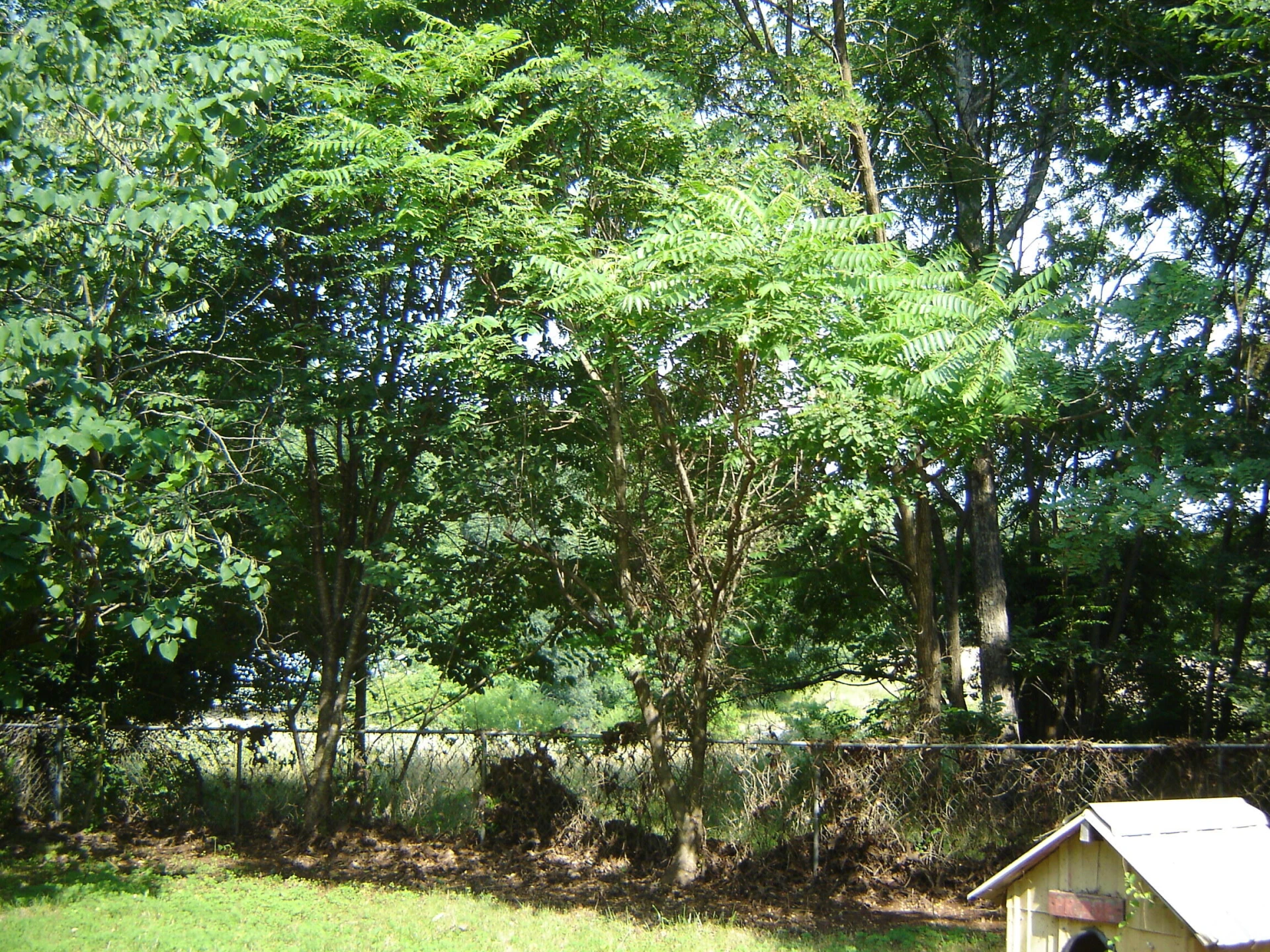 4064 Rucker RD - Photo 11