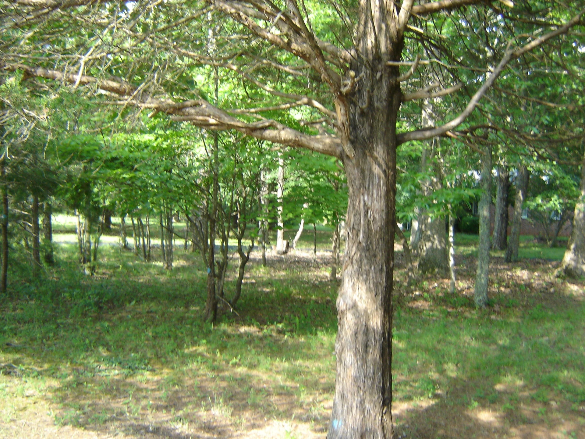 4064 Rucker RD - Photo 12