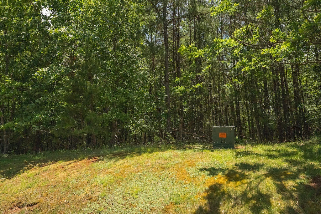 Lot 205 Acres CT - Photo 10