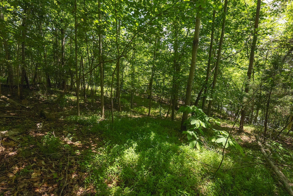 Lot 205 Acres CT - Photo 14