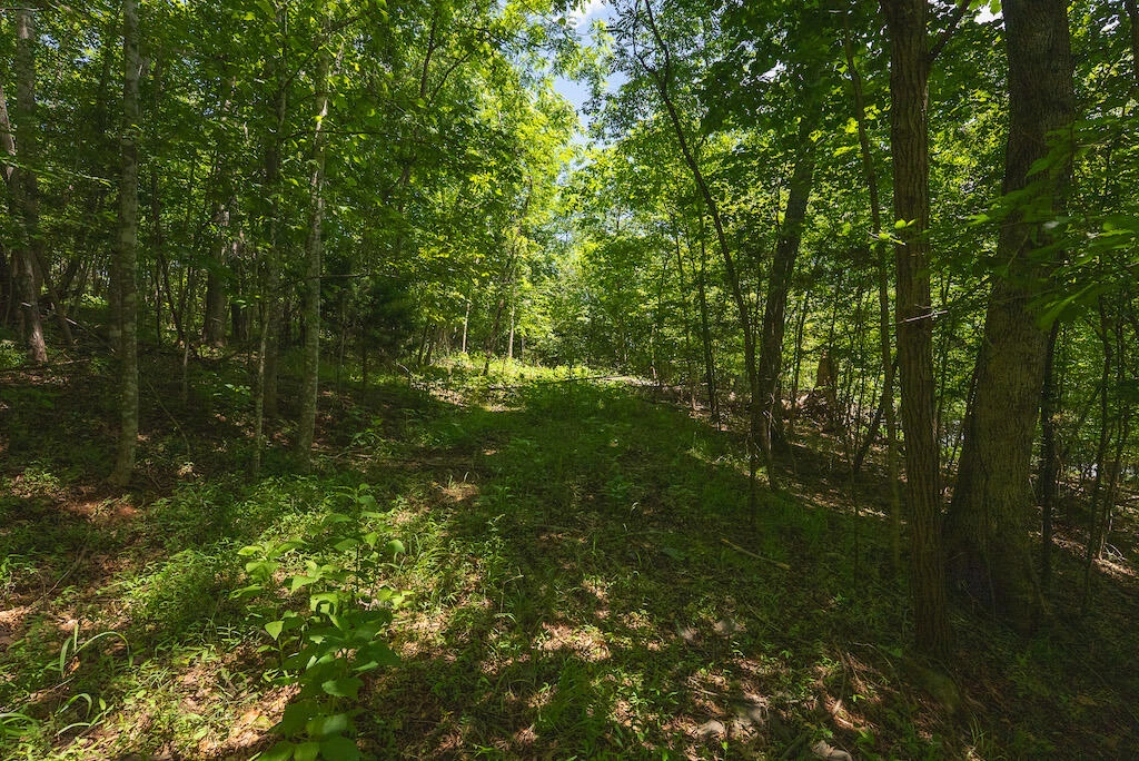 Lot 205 Acres CT - Photo 15