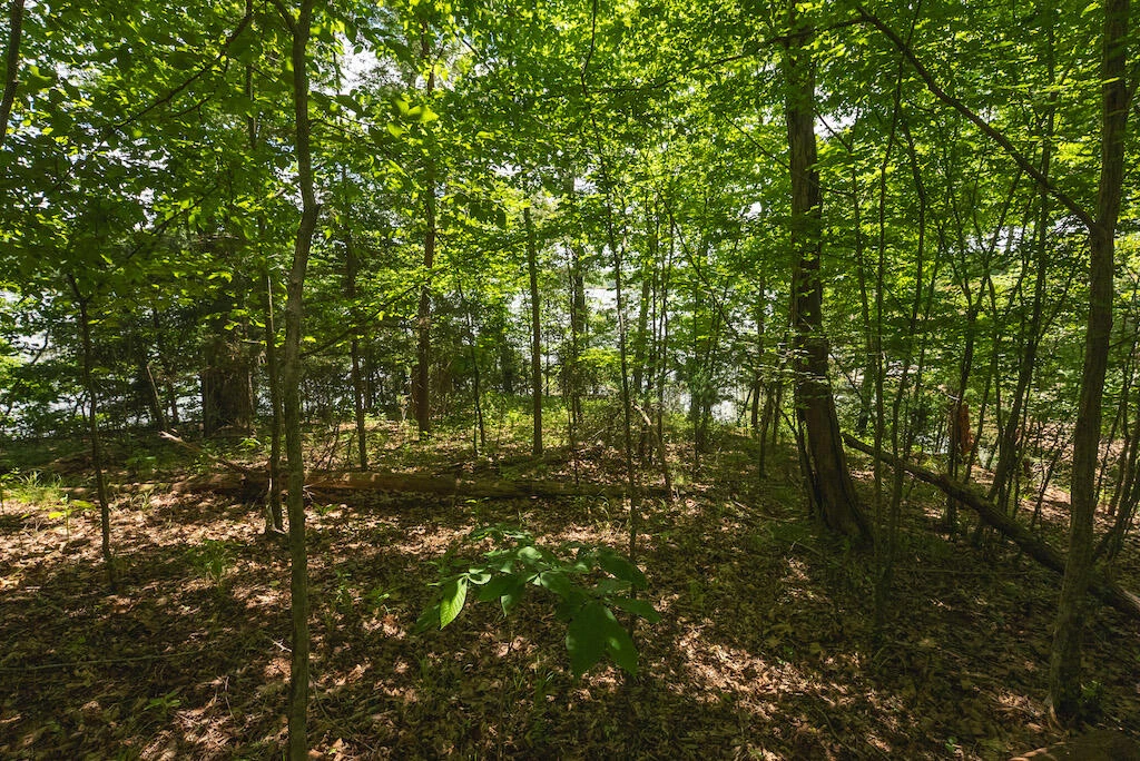 Lot 205 Acres CT - Photo 16