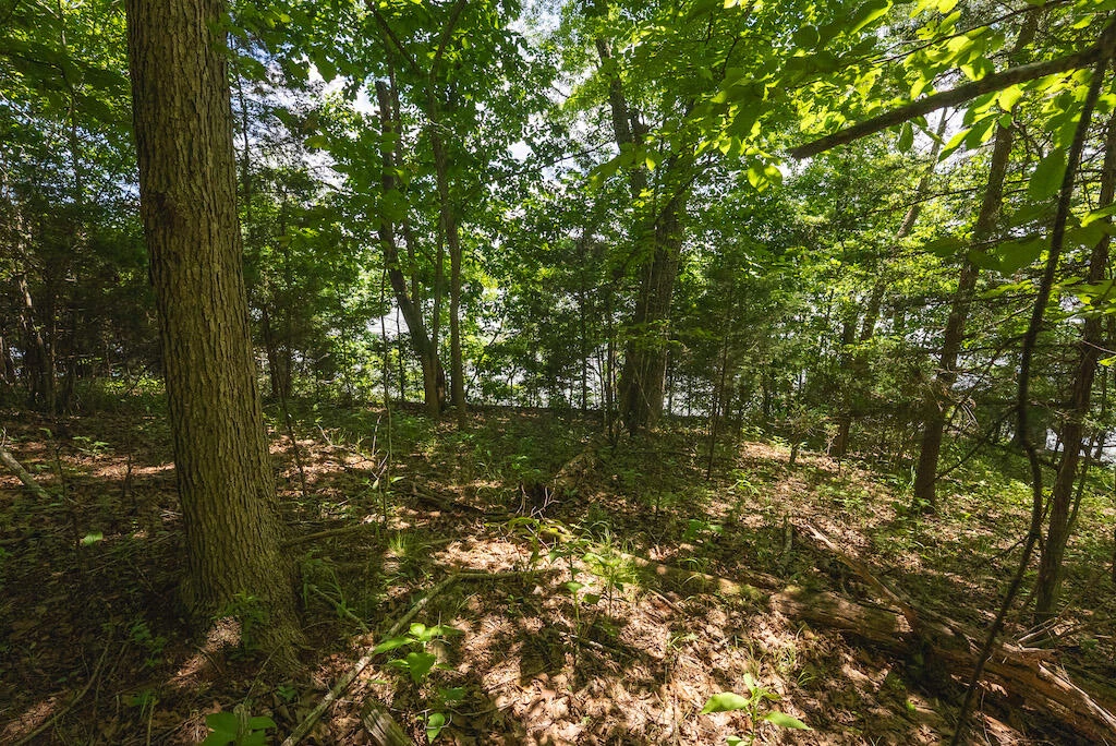 Lot 205 Acres CT - Photo 17