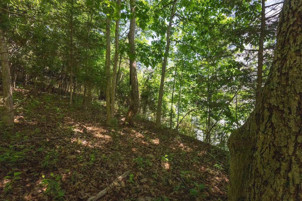 Lot 205 Acres CT - Photo 18