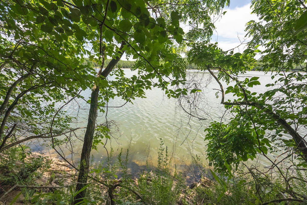 Lot 205 Acres CT - Photo 19