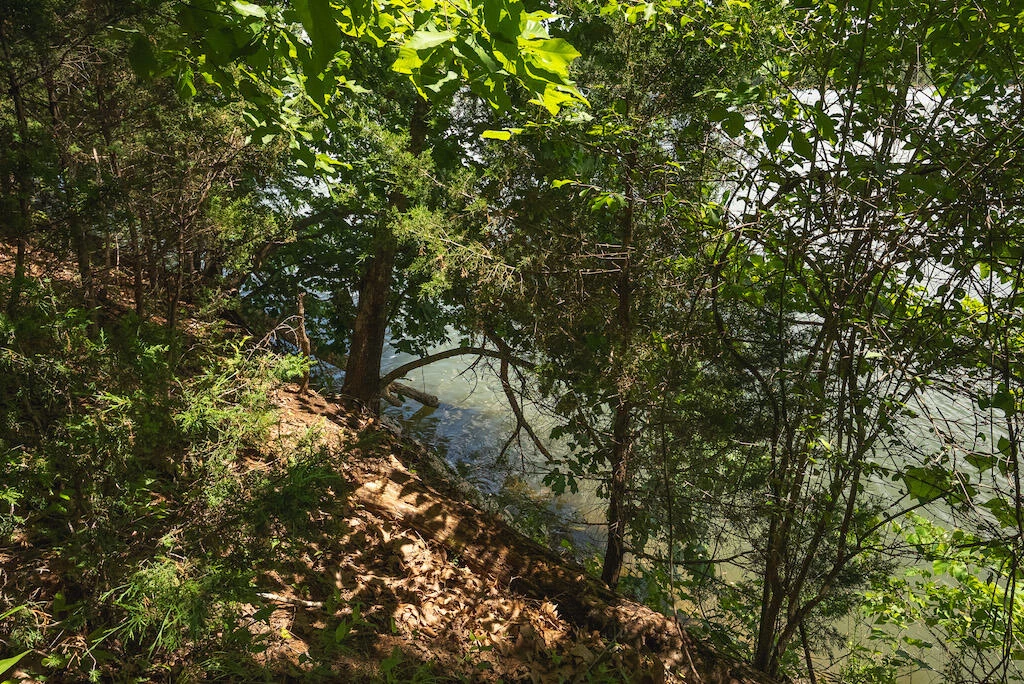 Lot 205 Acres CT - Photo 20