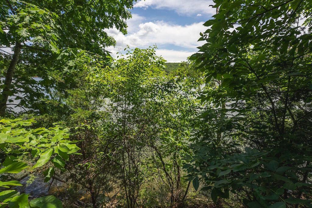 Lot 205 Acres CT - Photo 21